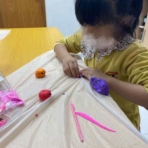 0da9b43589da1a764a3b51cd38933233